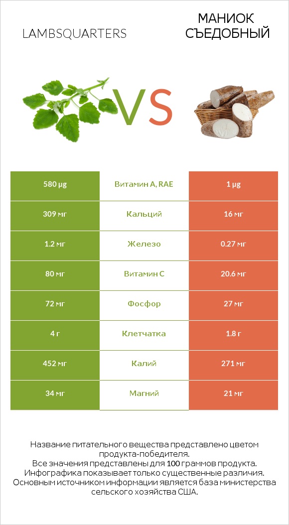 Lambsquarters vs Маниок съедобный infographic
