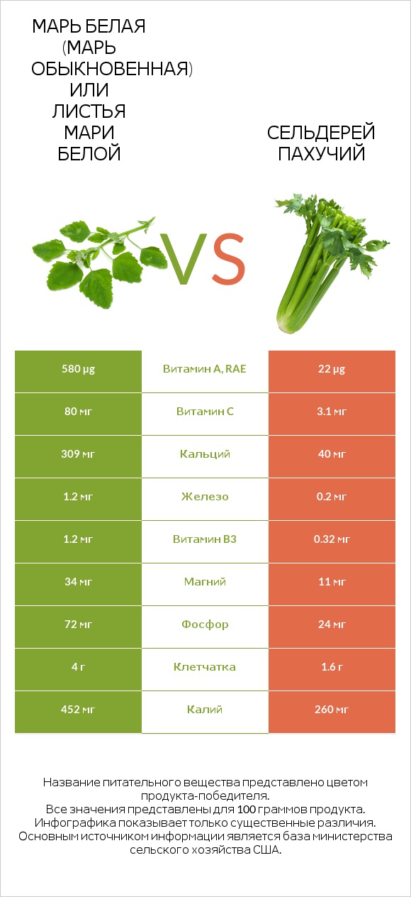 Марь белая (Марь обыкновенная) или Листья мари белой vs Сельдерей пахучий infographic