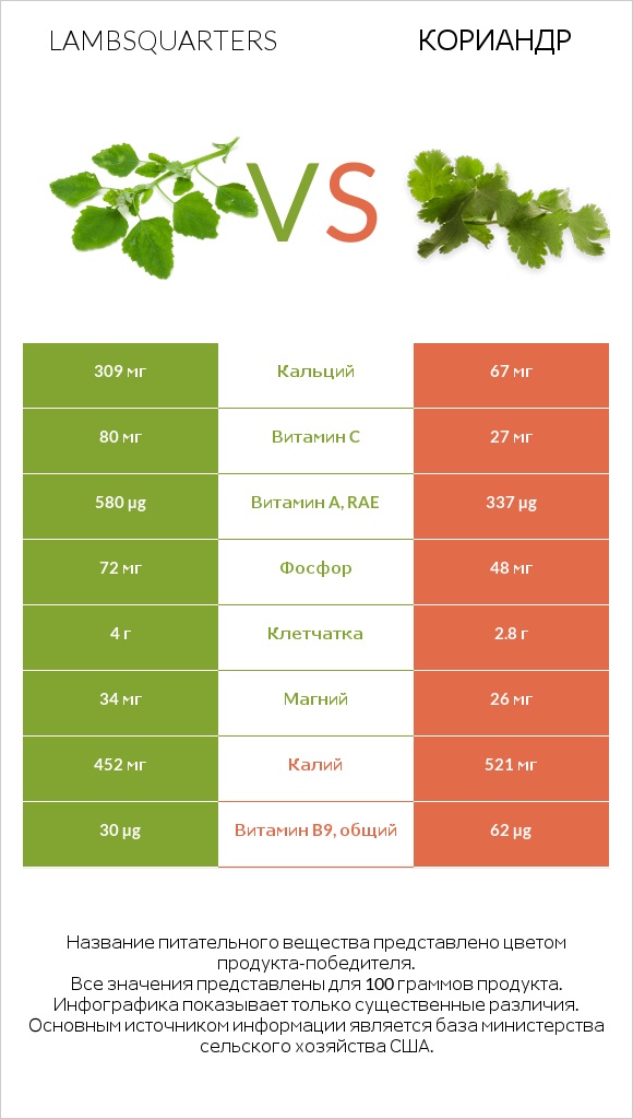 Марь белая (Марь обыкновенная) или Листья мари белой vs Кориандр infographic