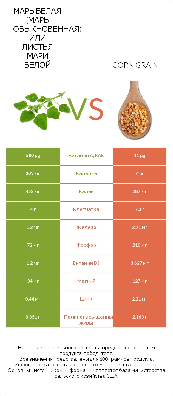 Марь белая (Марь обыкновенная) или Листья мари белой vs Corn grain infographic