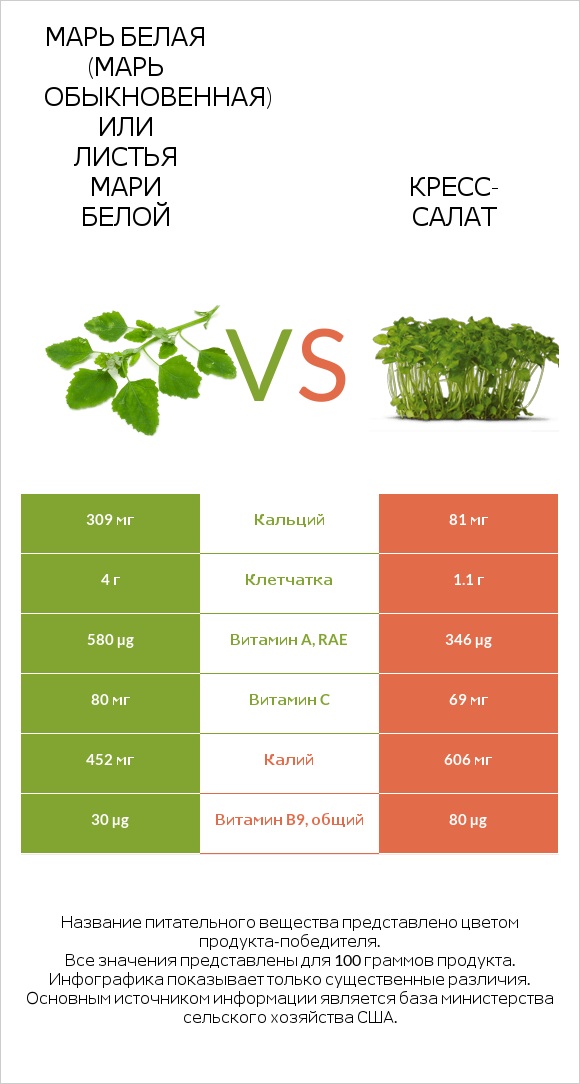 Марь белая (Марь обыкновенная) или Листья мари белой vs Кресс-салат infographic