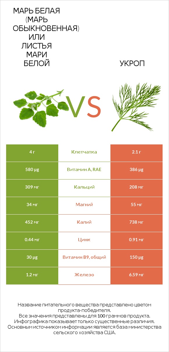 Марь белая (Марь обыкновенная) или Листья мари белой vs Укроп infographic