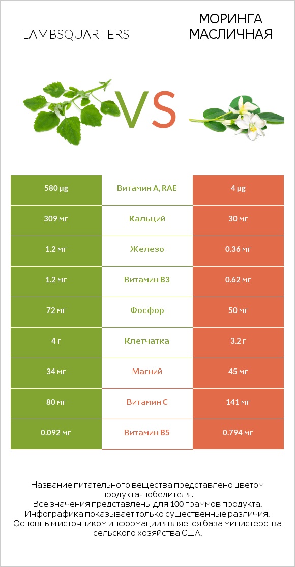 Lambsquarters vs Моринга масличная infographic