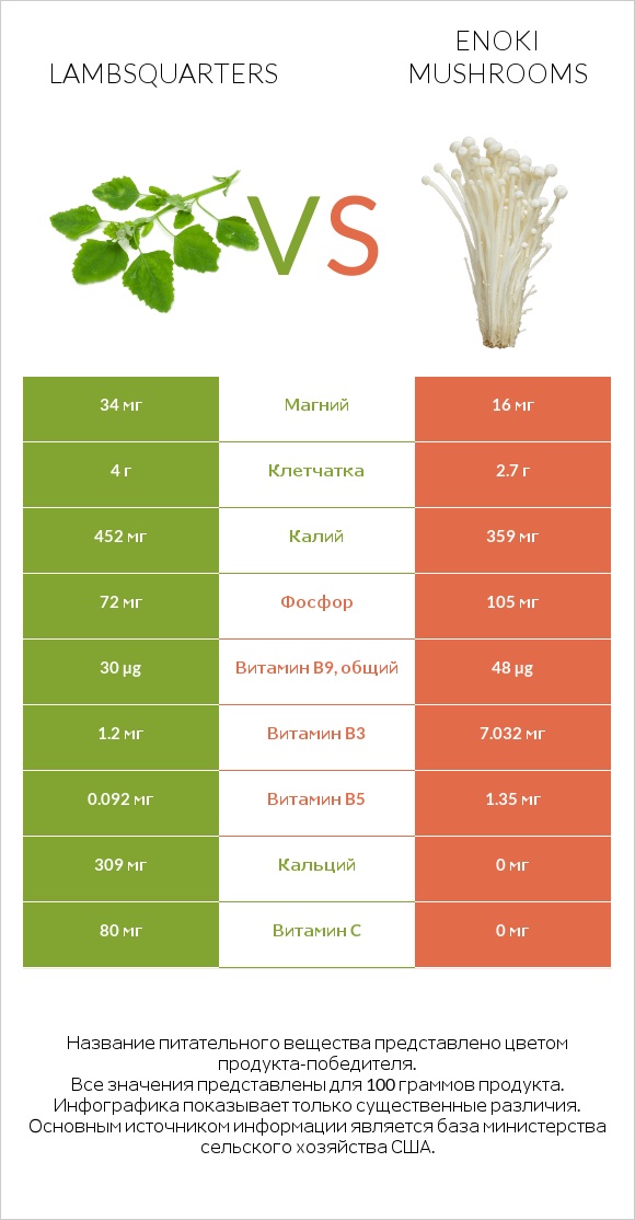 Lambsquarters vs Enoki mushrooms infographic