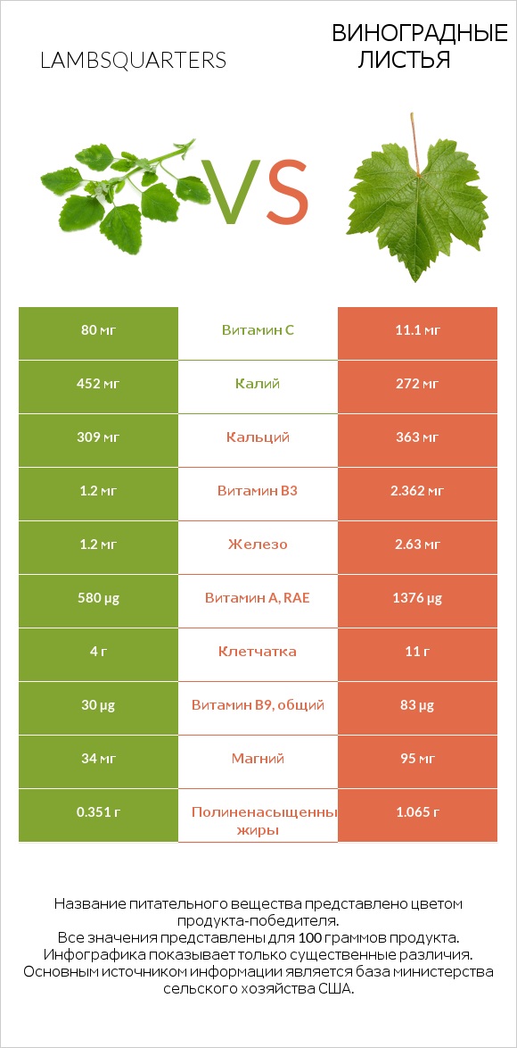 Lambsquarters vs Виноградные листья infographic