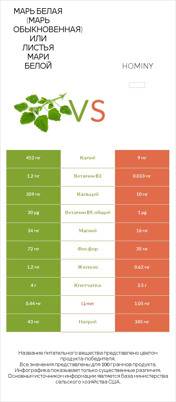 Марь белая (Марь обыкновенная) или Листья мари белой vs Hominy infographic