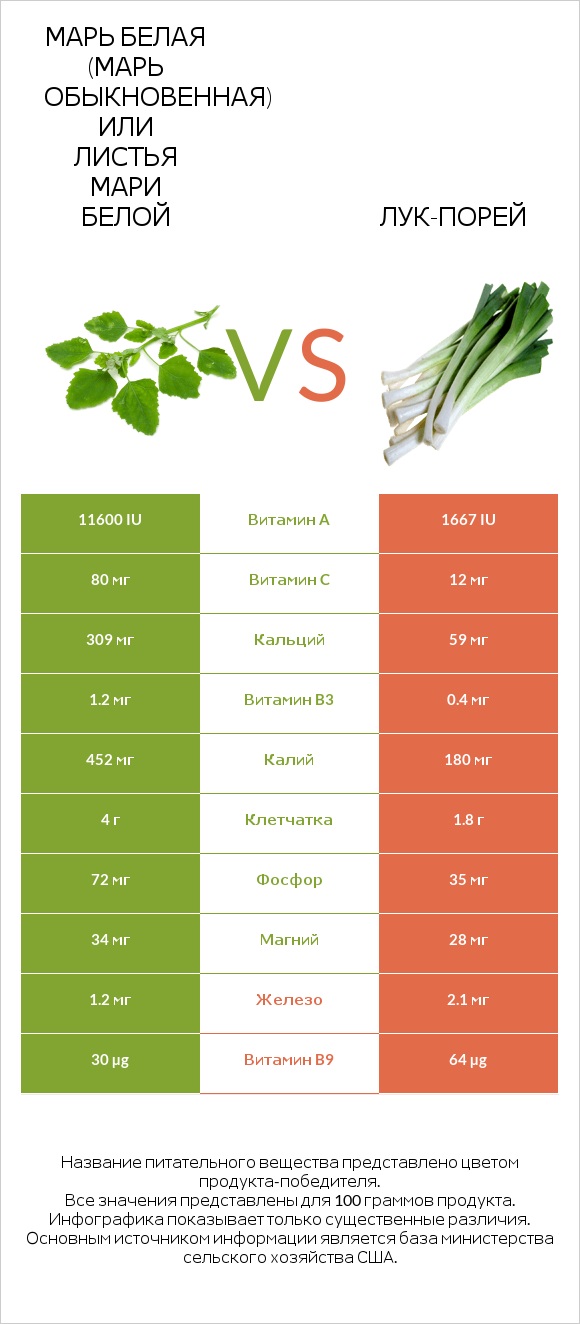 Марь белая (Марь обыкновенная) или Листья мари белой vs Лук-порей infographic