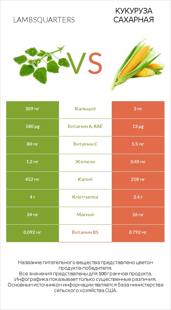 Lambsquarters vs Кукуруза сахарная infographic