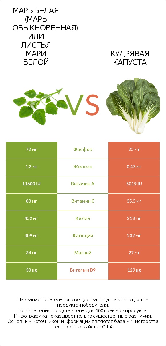 Марь белая (Марь обыкновенная) или Листья мари белой vs Кудрявая капуста infographic