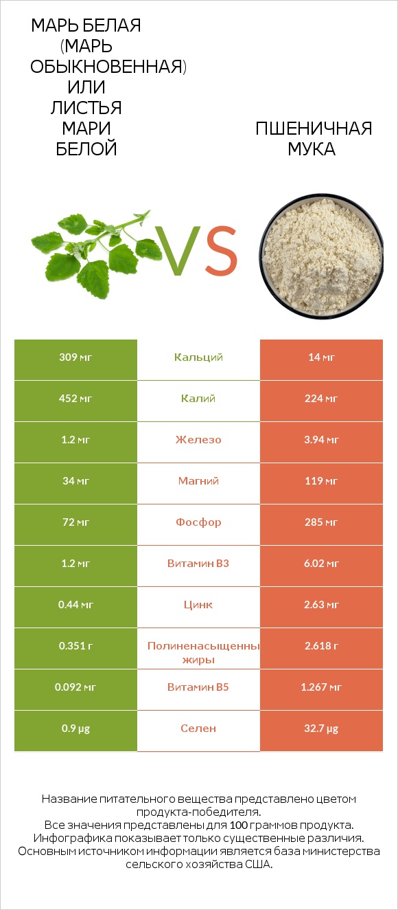 Марь белая (Марь обыкновенная) или Листья мари белой vs Пшеничная мука infographic