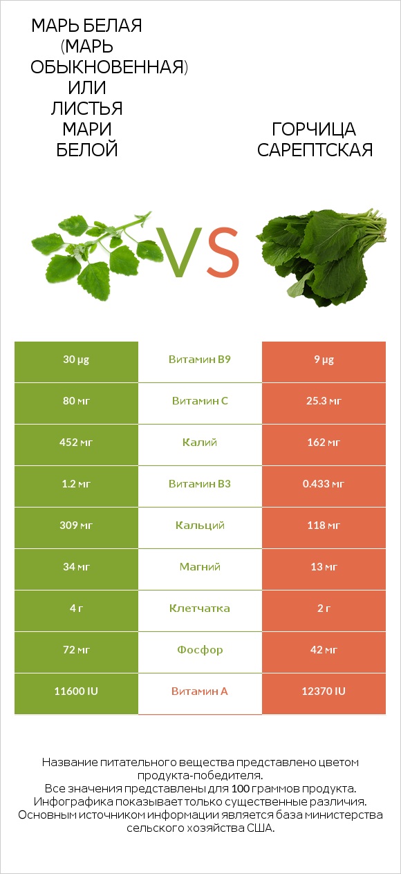 Lambsquarters vs Горчица сарептская infographic