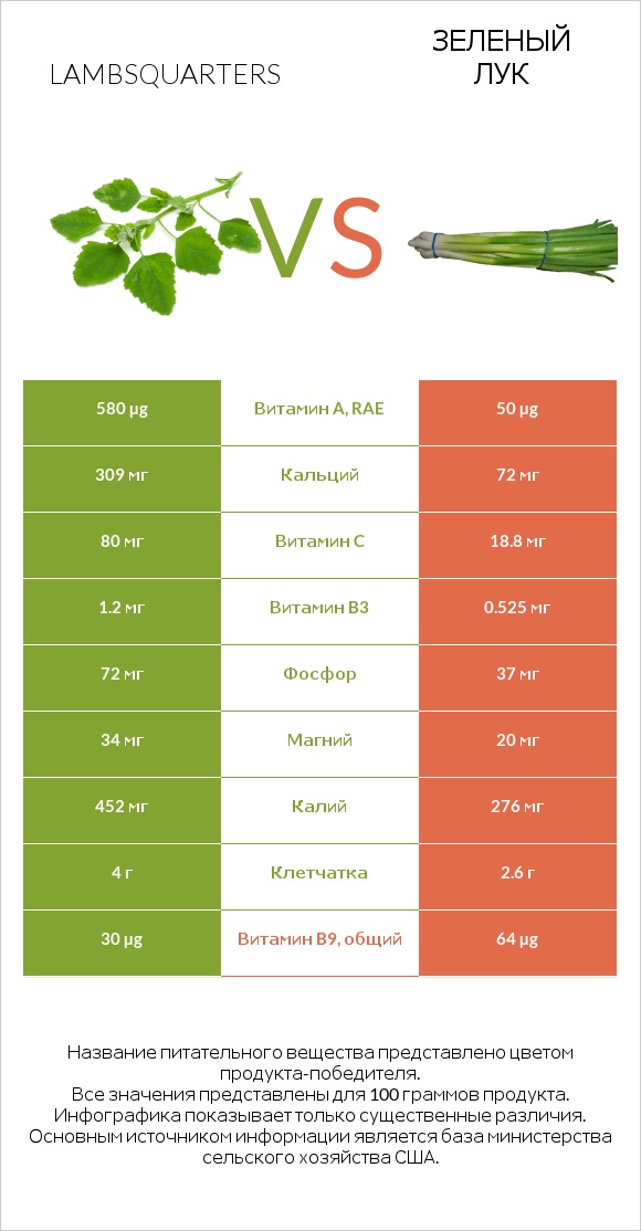 Марь белая (Марь обыкновенная) или Листья мари белой vs Зеленый лук infographic