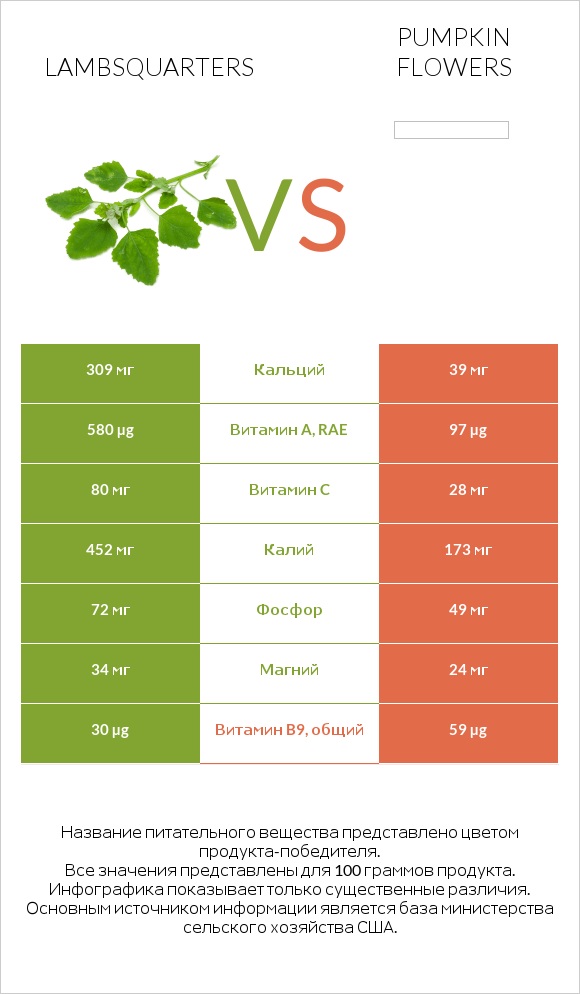 Lambsquarters vs Pumpkin flowers infographic