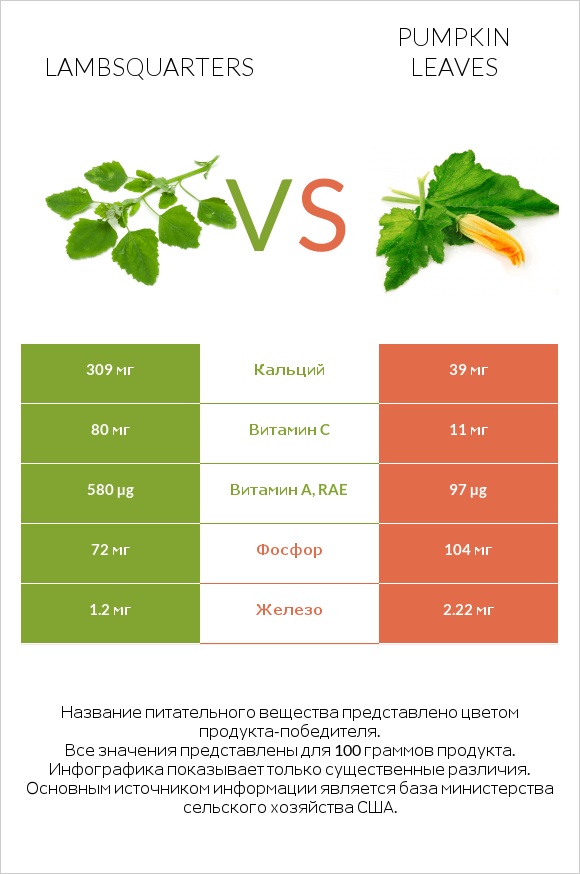 Lambsquarters vs Pumpkin leaves infographic