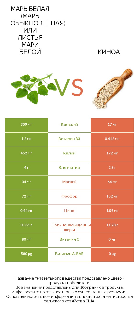 Марь белая (Марь обыкновенная) или Листья мари белой vs Киноа infographic