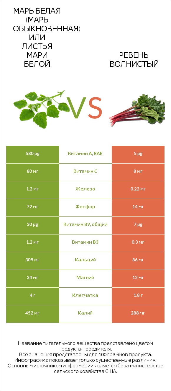 Марь белая (Марь обыкновенная) или Листья мари белой vs Ревень волнистый infographic