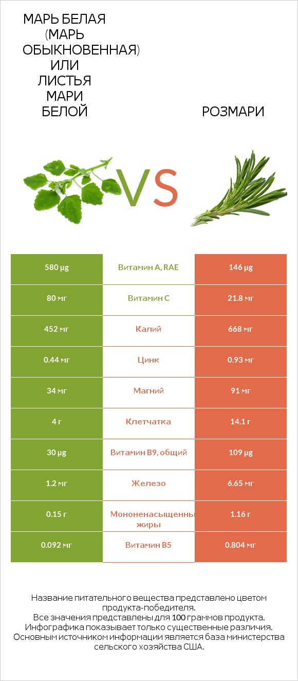 Марь белая (Марь обыкновенная) или Листья мари белой vs Розмари infographic