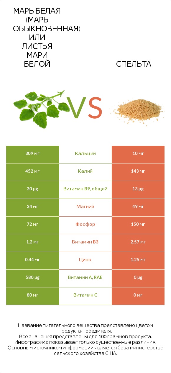 Марь белая (Марь обыкновенная) или Листья мари белой vs Спельта infographic