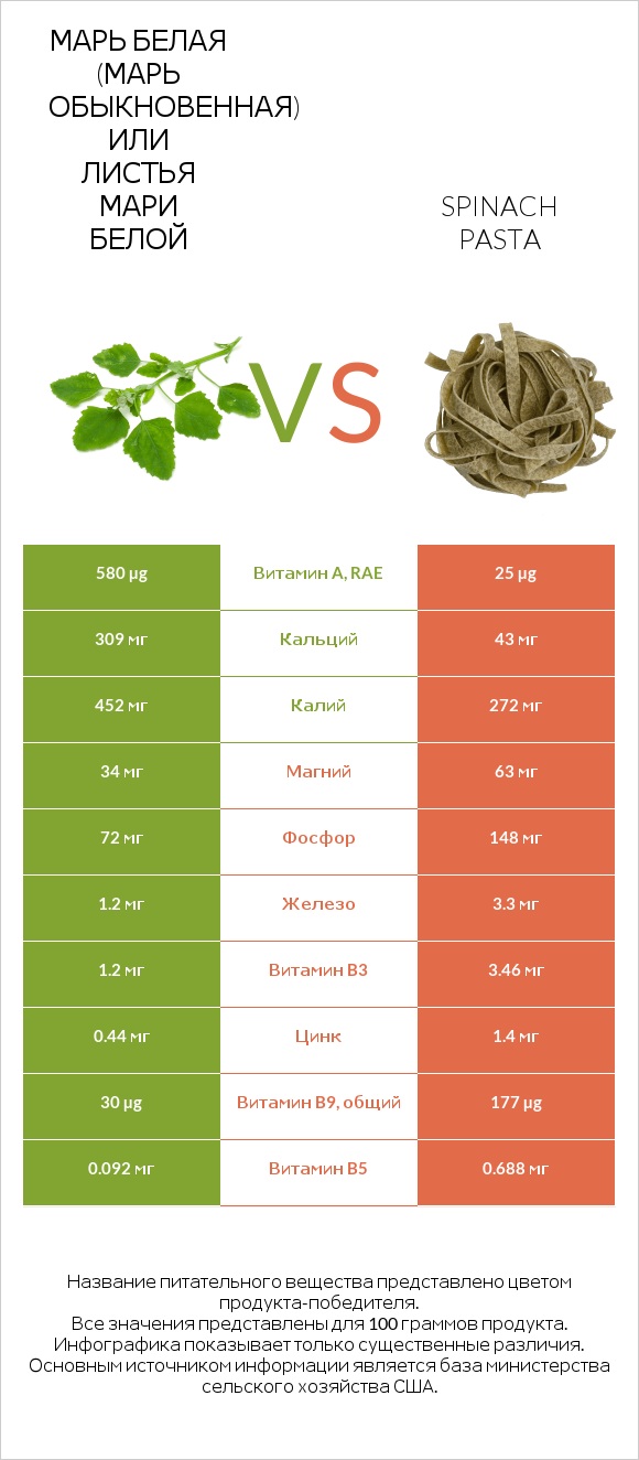 Марь белая (Марь обыкновенная) или Листья мари белой vs Spinach pasta infographic