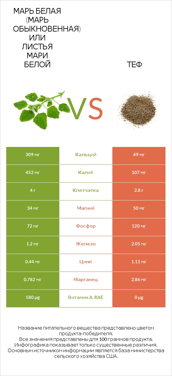 Марь белая (Марь обыкновенная) или Листья мари белой vs Теф infographic