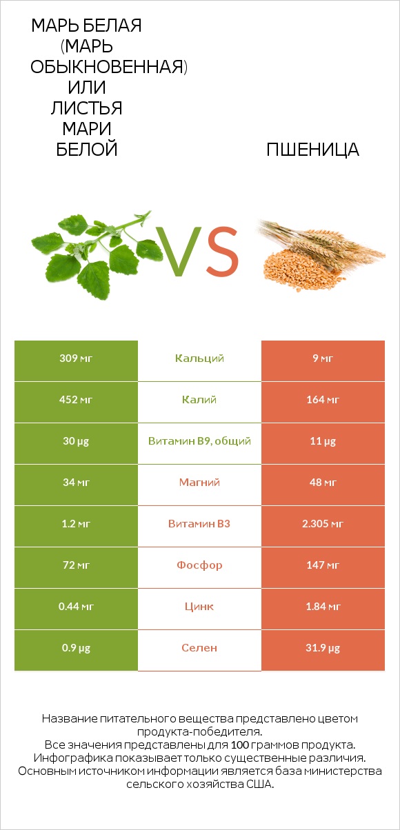 Марь белая (Марь обыкновенная) или Листья мари белой vs Пшеница infographic