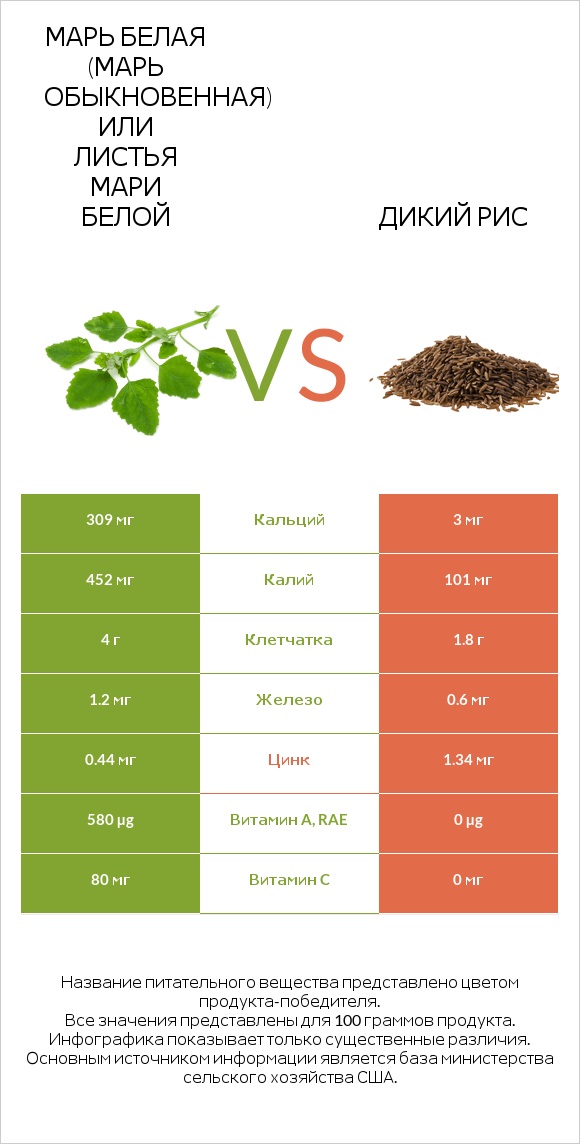 Марь белая (Марь обыкновенная) или Листья мари белой vs Дикий рис infographic