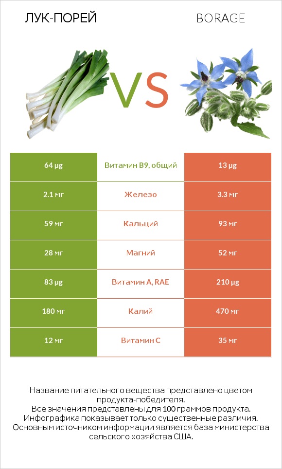 Лук-порей vs Бурачник лекарственный infographic