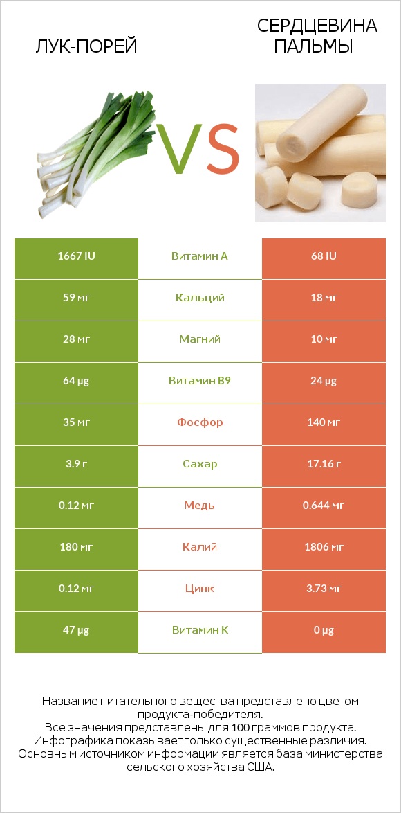 Лук-порей vs Сердцевина пальмы infographic
