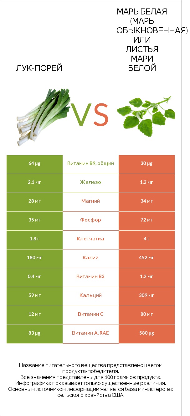 Лук-порей vs Марь белая (Марь обыкновенная) или Листья мари белой infographic