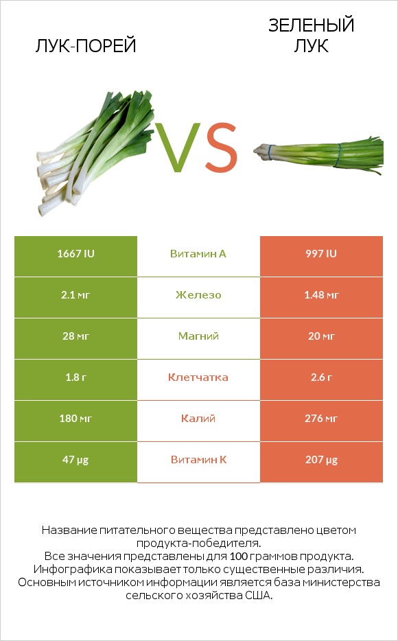 Лук-порей vs Зеленый лук infographic