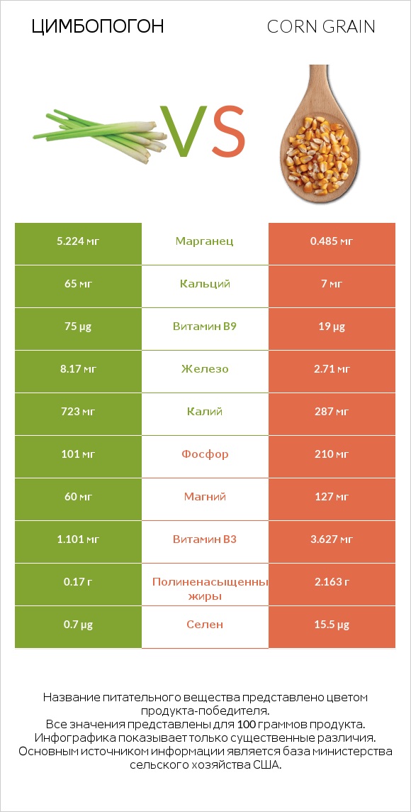 Цимбопогон vs Corn grain infographic