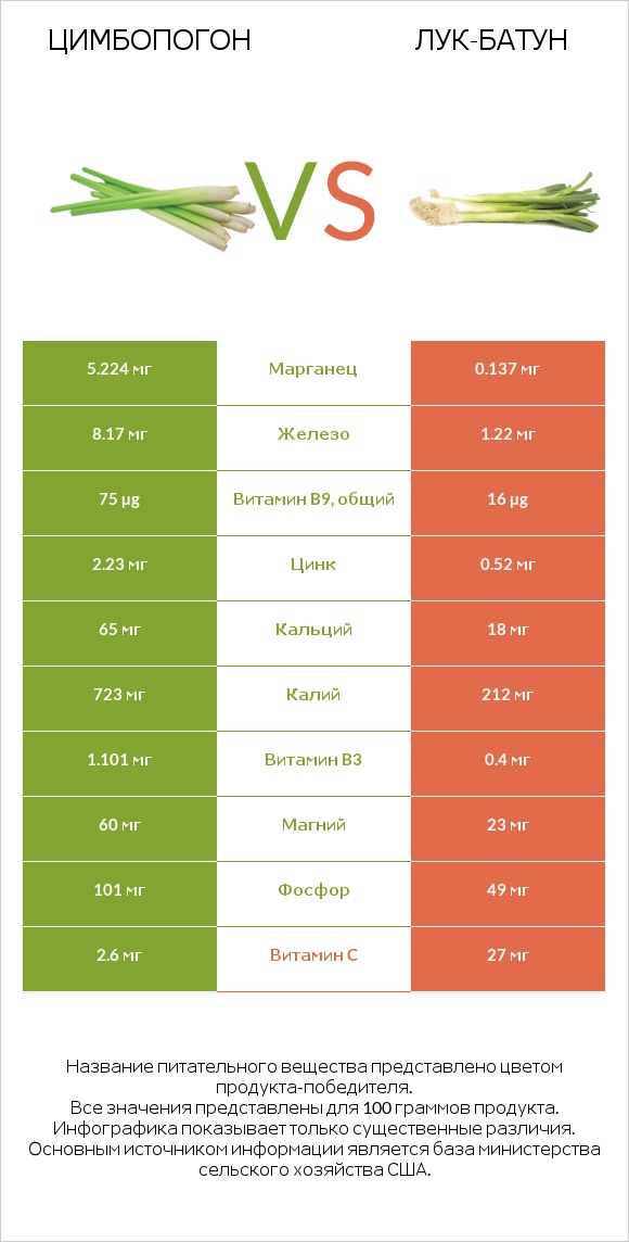 Цимбопогон vs Лук-батун infographic