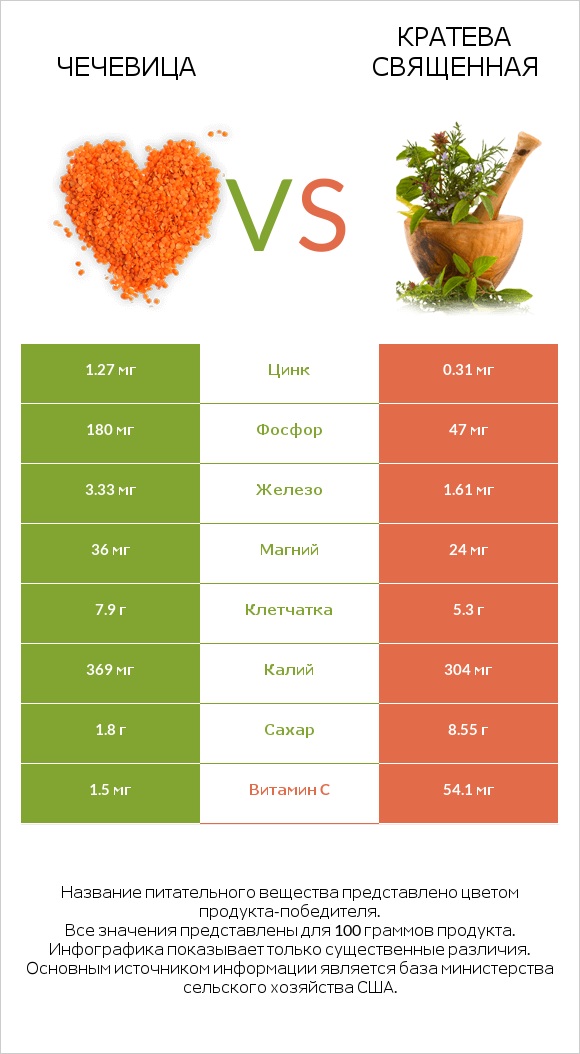 Чечевица vs Кратева священная infographic