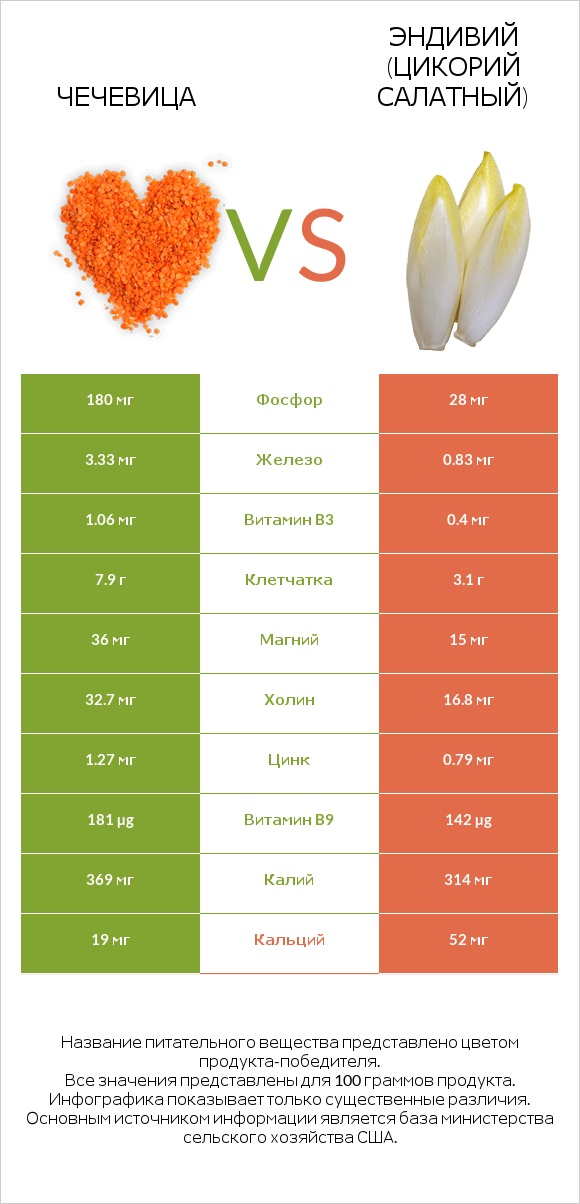 Чечевица vs Эндивий (Цикорий салатный)  infographic