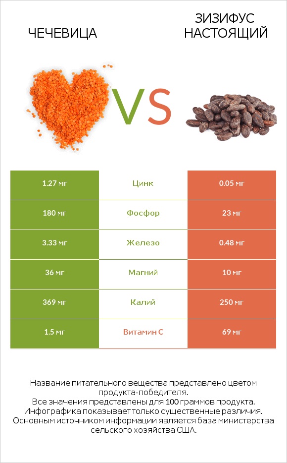 Чечевица vs Зизифус настоящий infographic