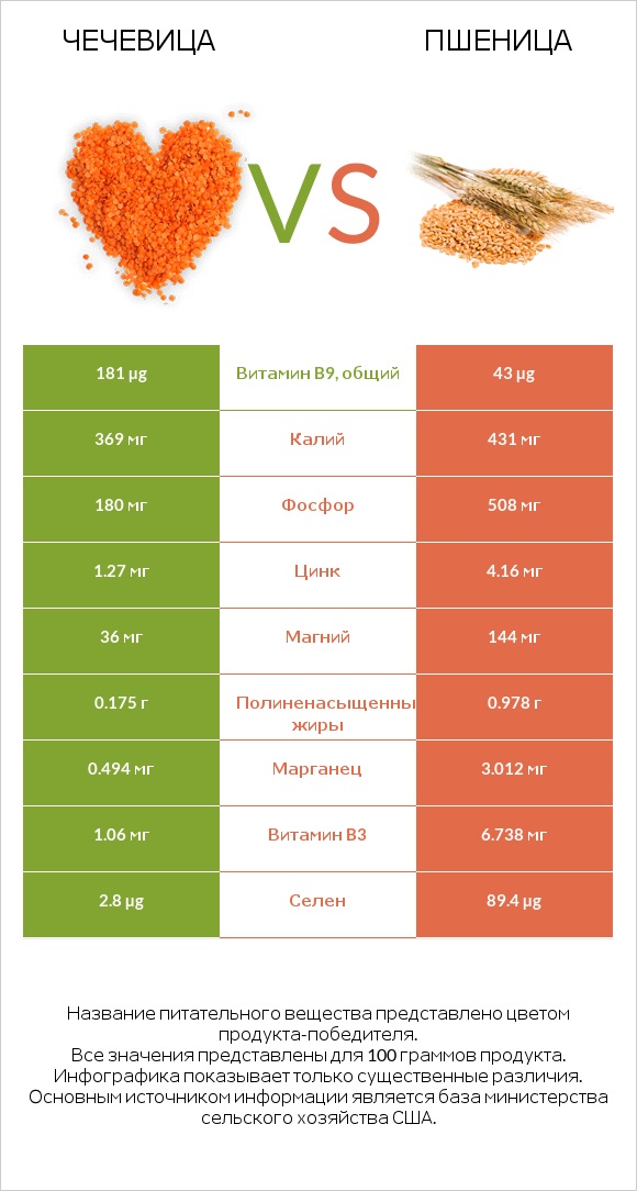 Чечевица vs Пшеница infographic