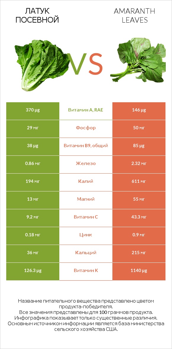 Латук посевной vs Листья амаранта infographic