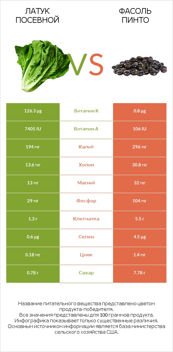 Латук посевной vs Фасоль пинто infographic