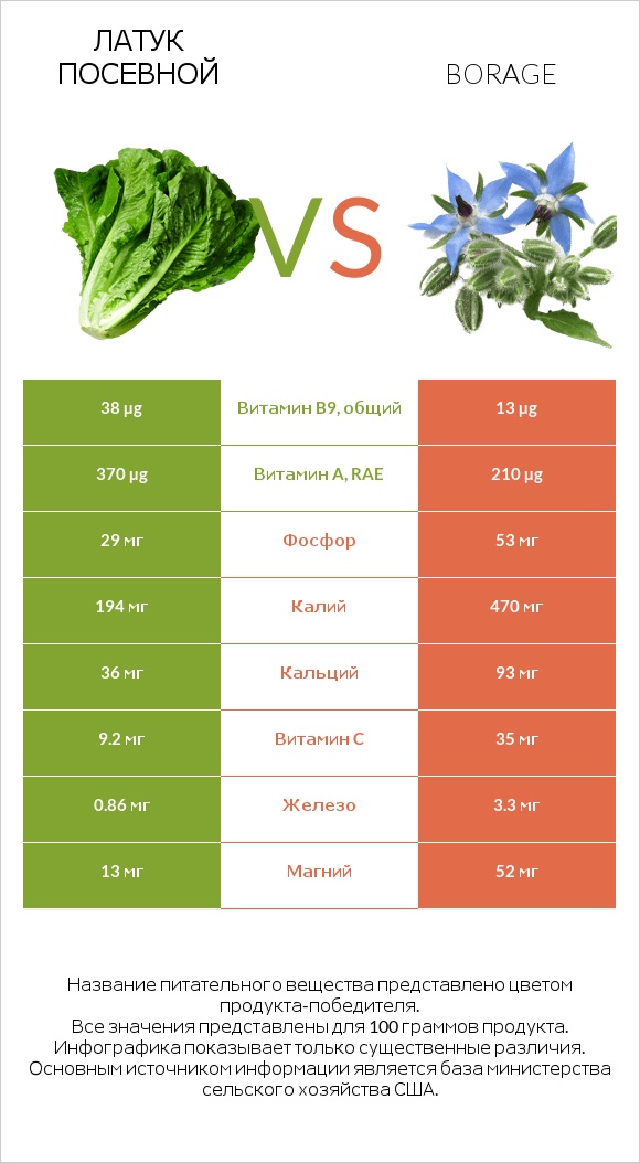 Латук посевной vs Бурачник лекарственный infographic