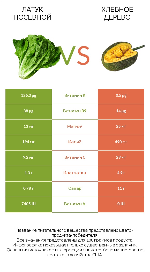 Латук посевной vs Хлебное дерево infographic
