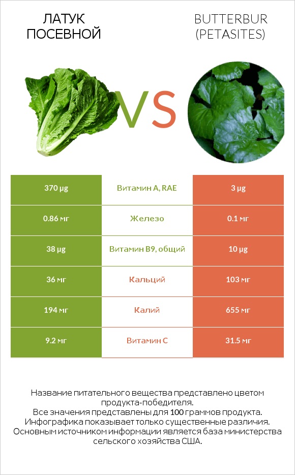 Латук посевной vs Белокопытник infographic