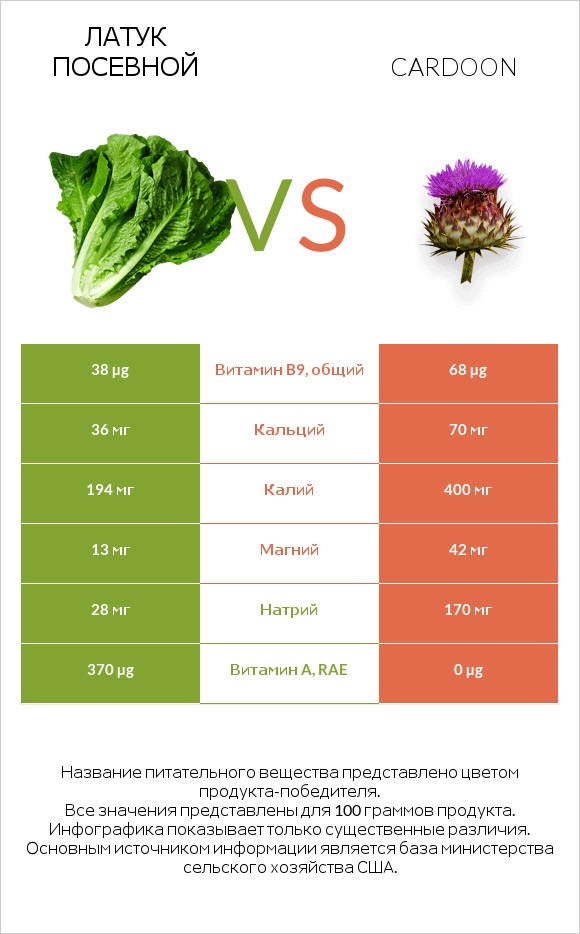 Латук посевной vs Кардон infographic