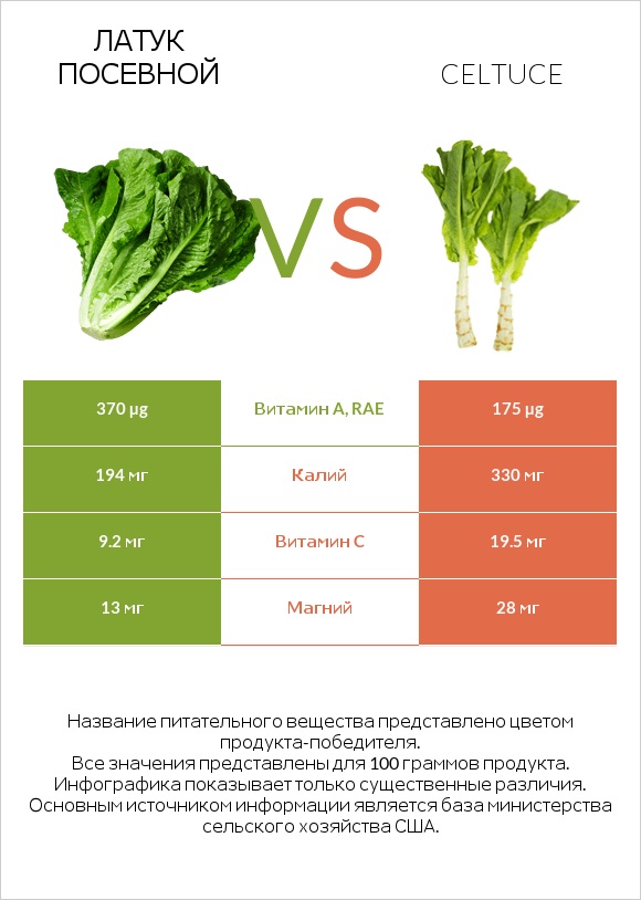 Латук посевной vs Спаржевый салат infographic