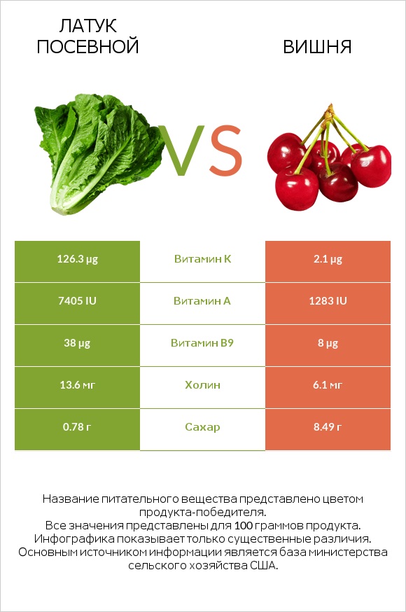 Латук посевной vs Вишня infographic
