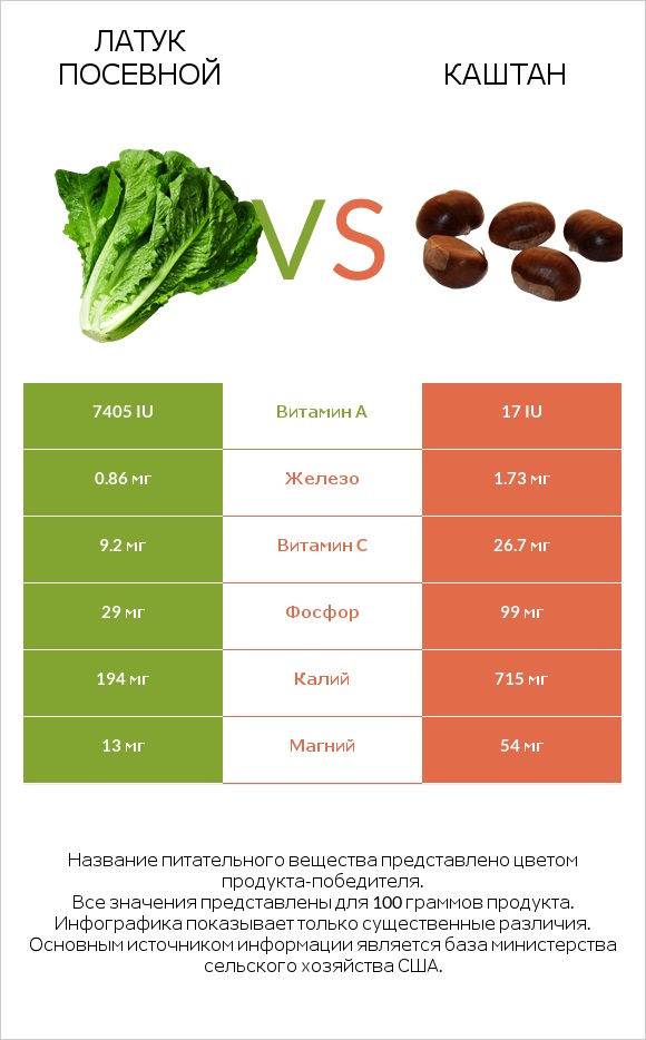 Латук посевной vs Каштан infographic