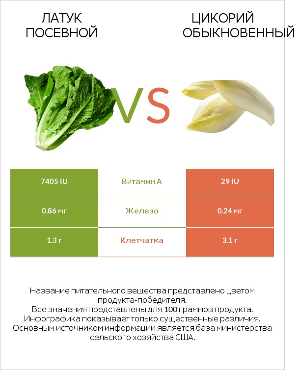 Латук посевной vs Цикорий обыкновенный infographic