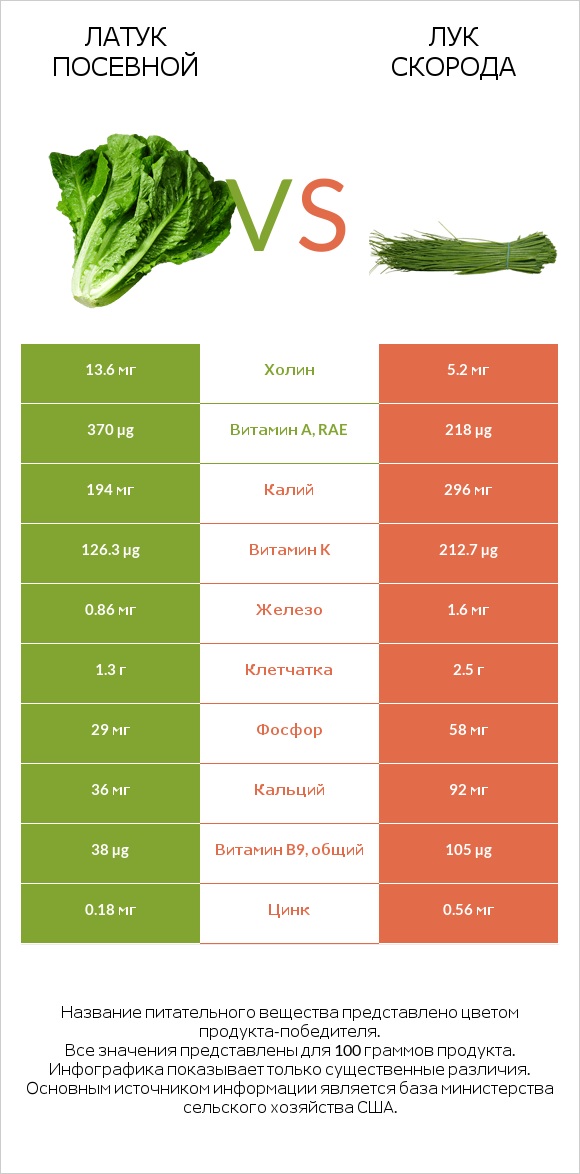 Латук посевной vs Лук скорода infographic