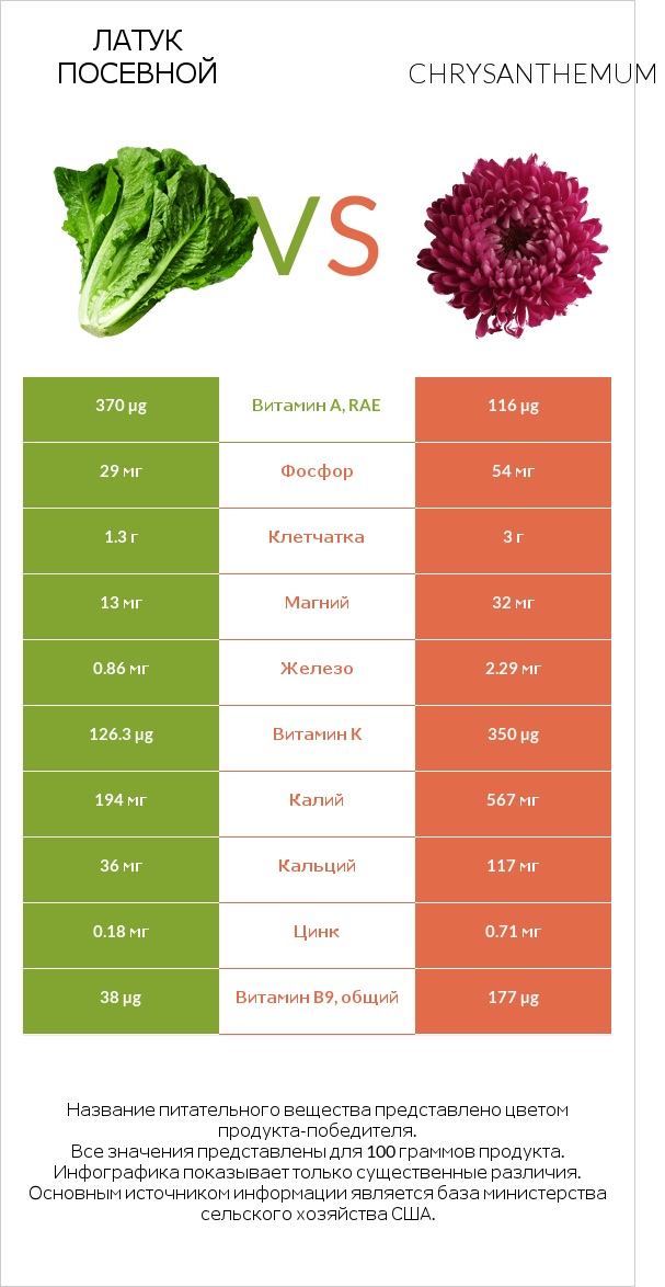 Латук посевной vs Златоцвет увенчанный (хризантема увенчанная, хризантема овощная, хризантема салатная) infographic