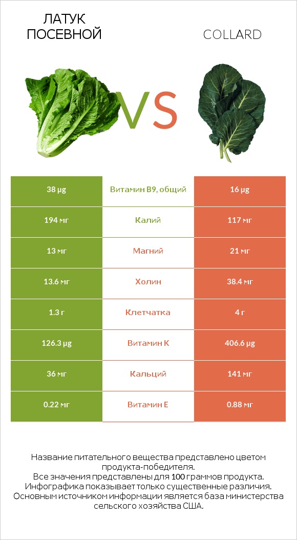 Латук посевной vs Коллард (капуста листовая) infographic