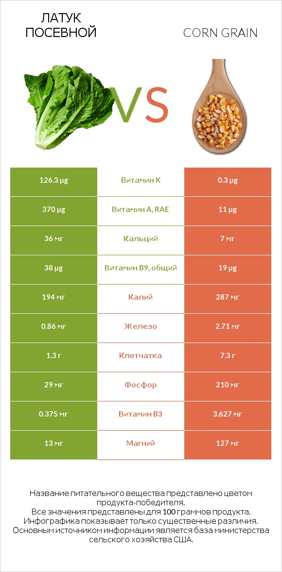 Латук посевной vs Corn grain infographic